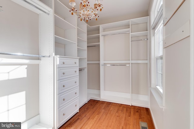 walk in closet featuring visible vents, a notable chandelier, and light wood-style flooring