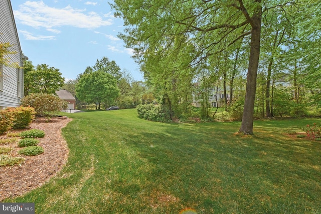 12804 New Parkland Dr, Herndon, VA 20171 - view of yard
