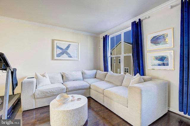 living room featuring dark wood-type flooring and crown molding