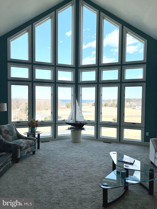 living area featuring a wall of windows, a towering ceiling, and carpet floors