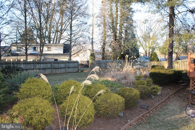 view of yard featuring fence private yard