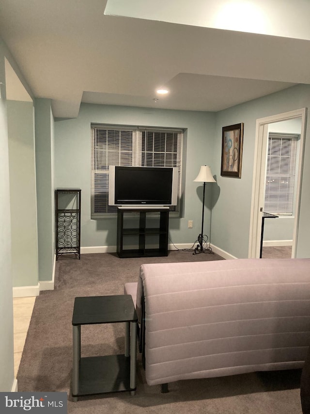 living room featuring baseboards and carpet floors