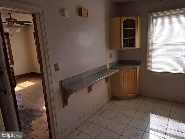 kitchen featuring plenty of natural light, glass insert cabinets, and baseboards