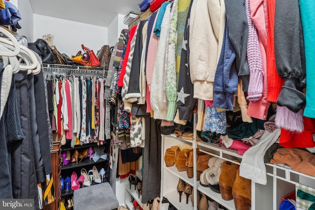 view of walk in closet