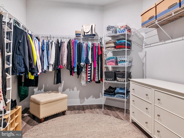 walk in closet featuring wood finished floors