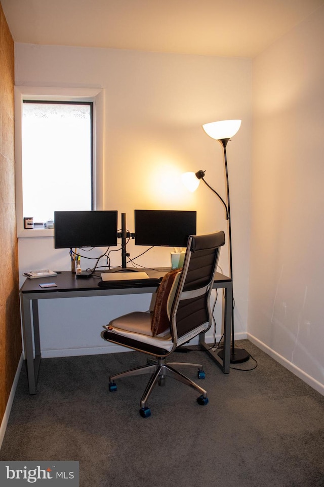 carpeted office with baseboards