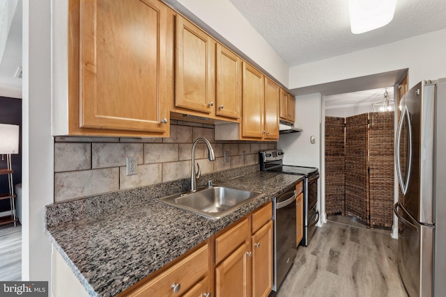 kitchen with light wood-type flooring, a sink, under cabinet range hood, backsplash, and stainless steel appliances