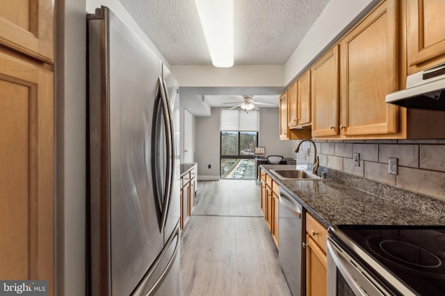 kitchen featuring a ceiling fan, light wood finished floors, a sink, stainless steel appliances, and tasteful backsplash