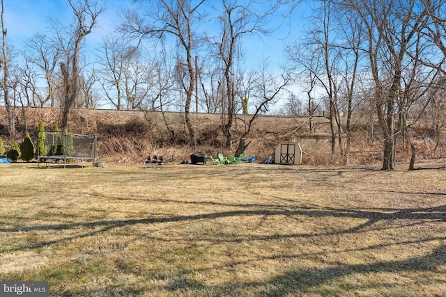 view of yard with an outdoor structure, a trampoline, and a shed