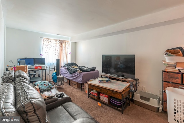 living room featuring carpet floors