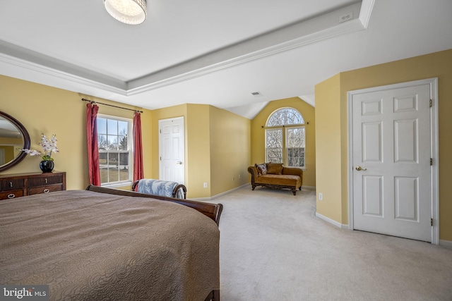 bedroom featuring visible vents, a raised ceiling, baseboards, and carpet floors