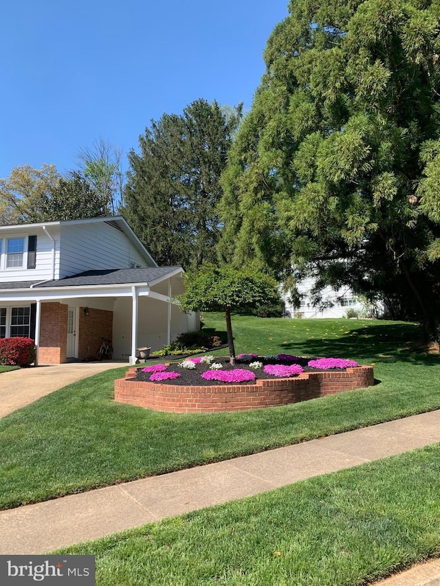 exterior space featuring an attached carport and concrete driveway