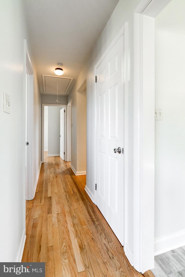 hallway with attic access, baseboards, and light wood-type flooring