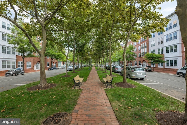 view of community with a yard