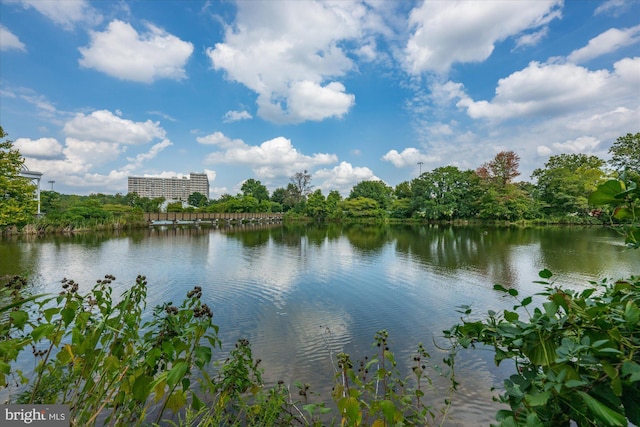 view of water feature