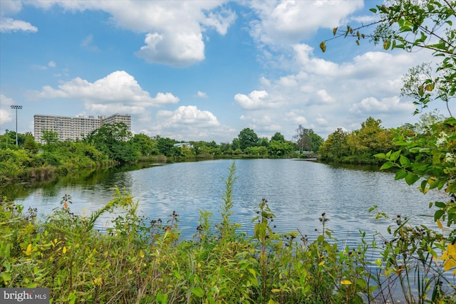 property view of water