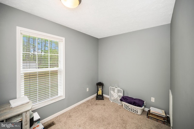 misc room featuring baseboards, visible vents, carpet, and a textured ceiling