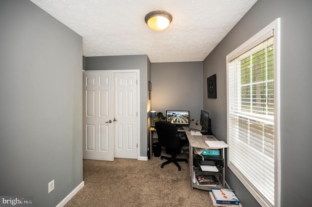 office with carpet, a textured ceiling, and baseboards