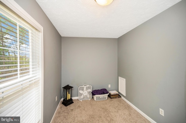 interior space with baseboards, a textured ceiling, and carpet