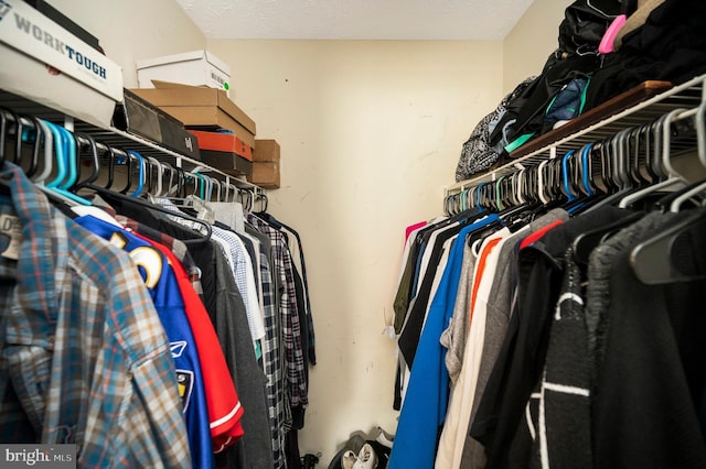 view of walk in closet