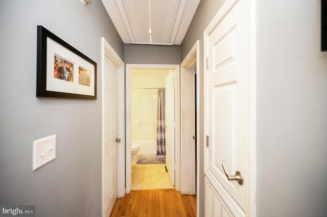 hallway featuring attic access and light wood-style flooring