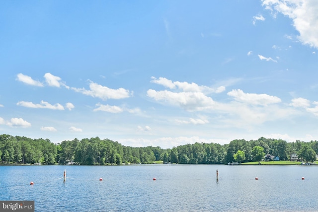 property view of water with a forest view