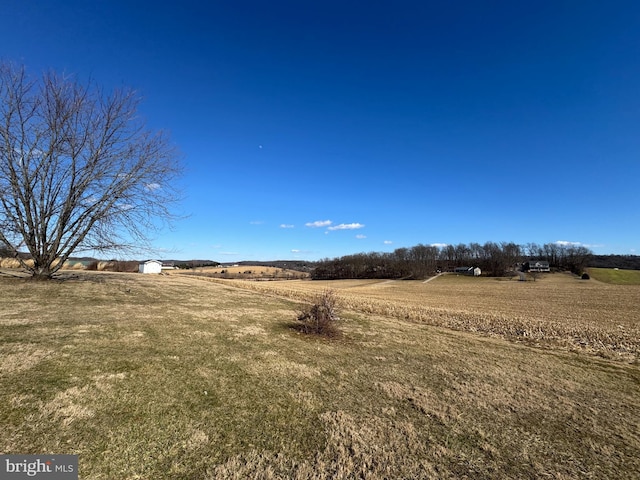 view of yard featuring a rural view