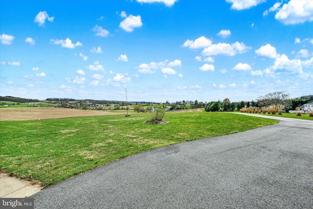 view of community featuring a yard