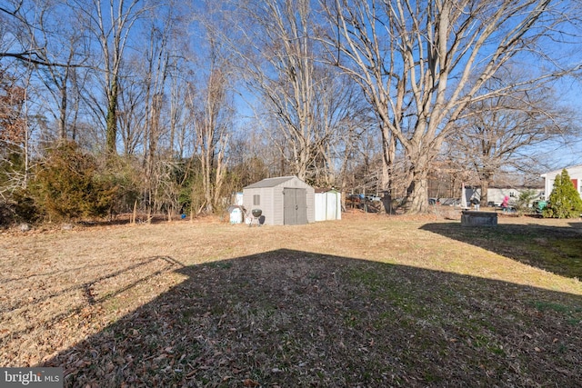 view of yard with a storage shed and an outbuilding