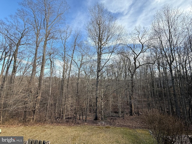 view of nature featuring a forest view