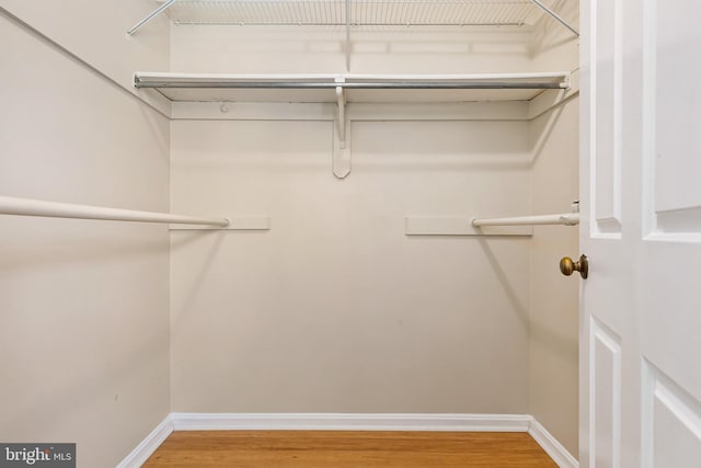 walk in closet featuring wood finished floors