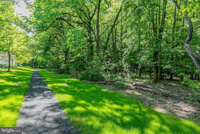 surrounding community with a view of trees and a lawn