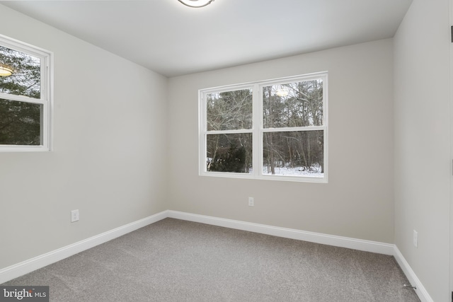 empty room with a wealth of natural light, carpet flooring, and baseboards