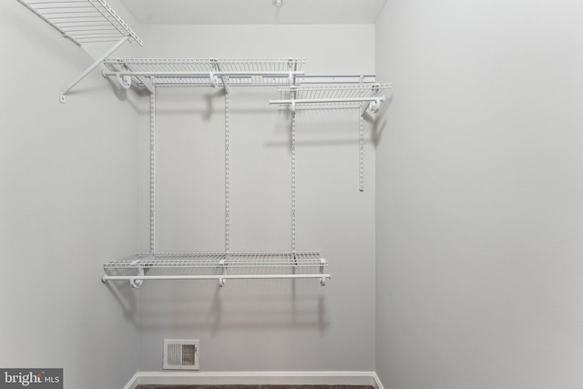 6603 Netties Ln Unit 1706, Alexandria, VA 22315 - view of walk in closet