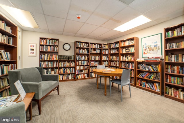 living area featuring a paneled ceiling, carpet, and wall of books