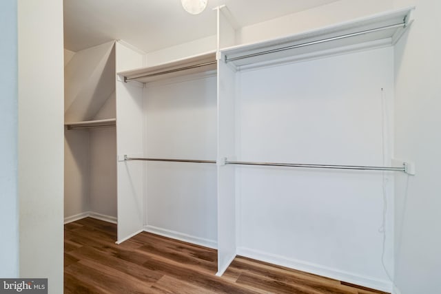 walk in closet with wood finished floors