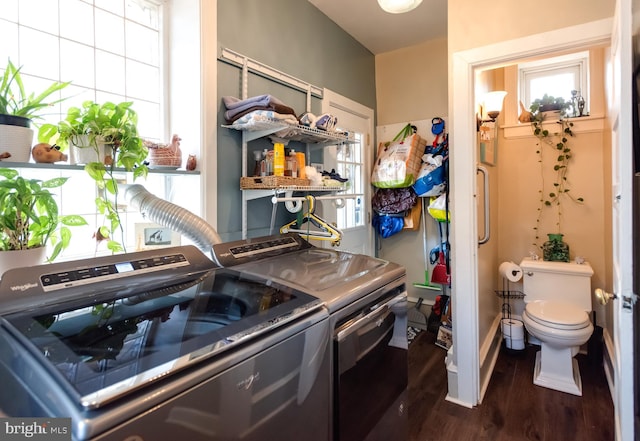 laundry area featuring laundry area, independent washer and dryer, and dark wood-style flooring