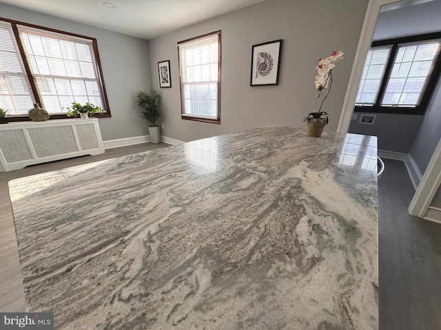 details with baseboards, radiator, and wood finished floors