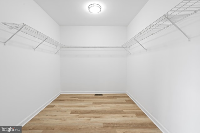 walk in closet featuring light wood-style floors