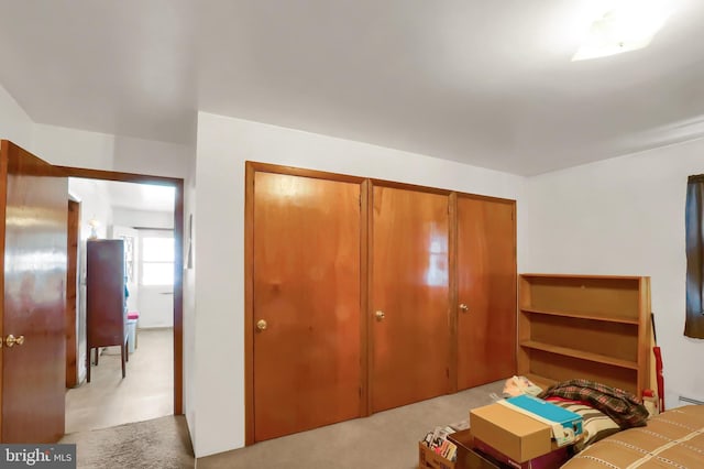 bedroom with a closet and light carpet