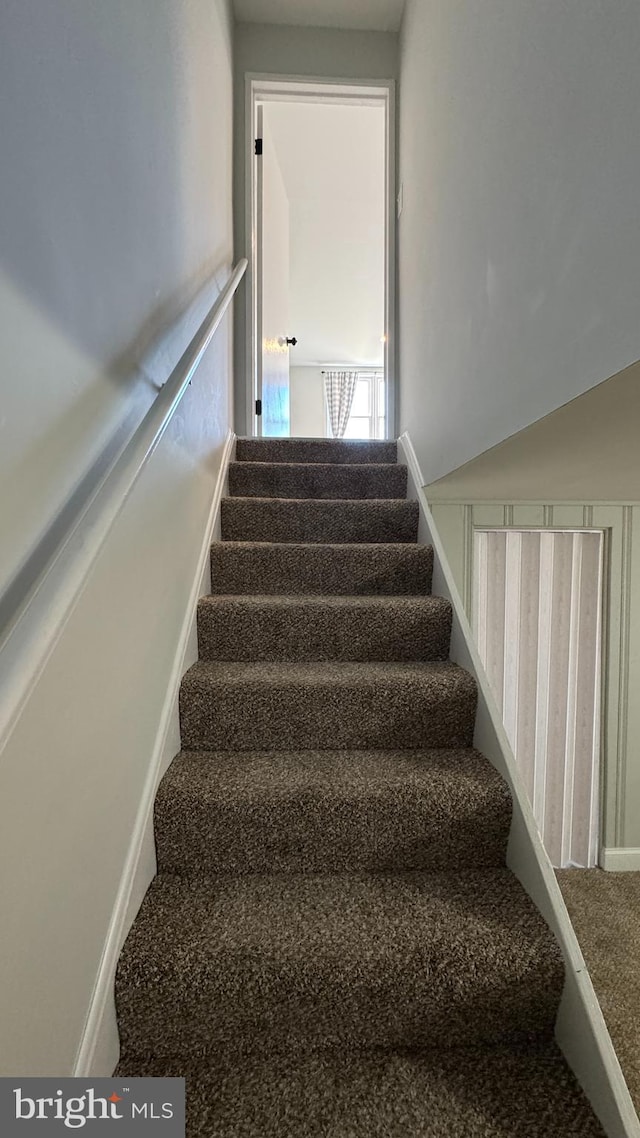 stairway with carpet floors