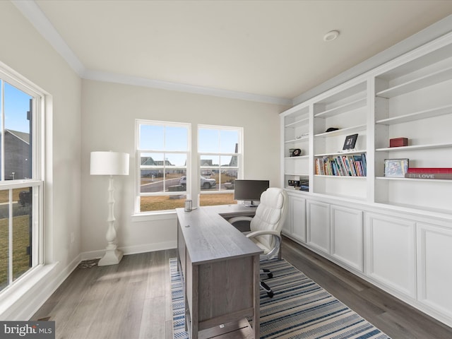 office with baseboards, dark wood finished floors, and ornamental molding