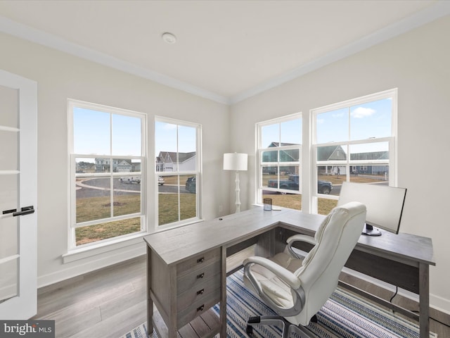 office space featuring crown molding, wood finished floors, and baseboards