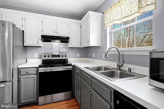 kitchen featuring appliances with stainless steel finishes, gray cabinets, under cabinet range hood, and a sink