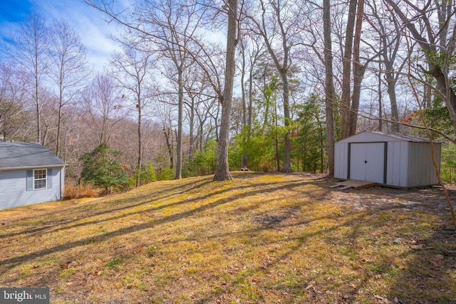 view of yard with an outbuilding and a storage unit