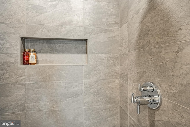 room details with tiled shower