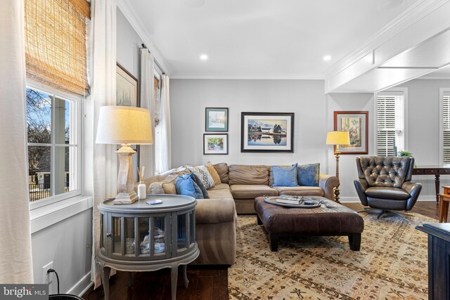 631 Monument Ave, Malvern, PA 19355 - living room with plenty of natural light, wood finished floors, and ornamental molding