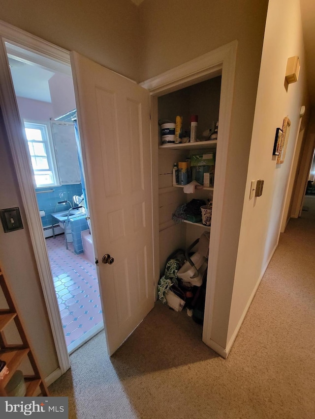 pantry featuring a baseboard heating unit