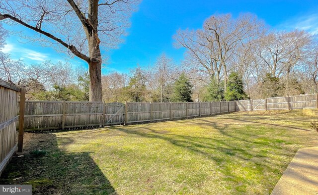 view of yard featuring a fenced backyard