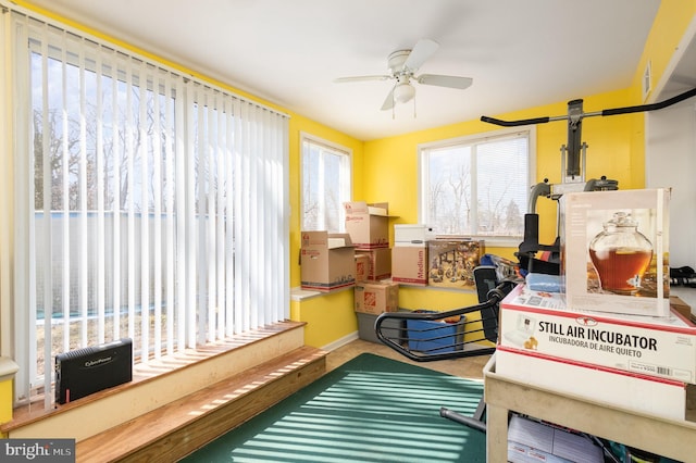 storage area with ceiling fan